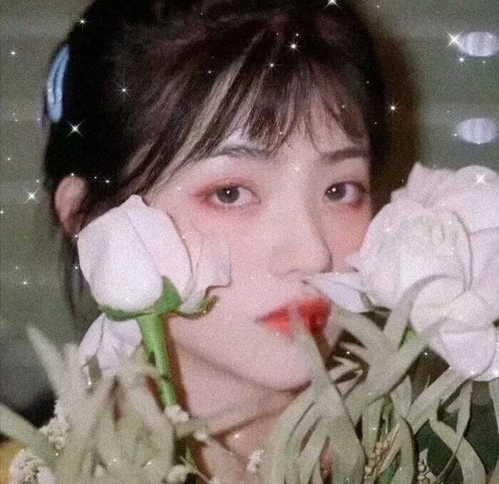 巨幅宝丽莱大师